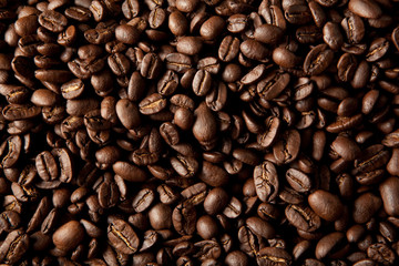 really fresh roasted