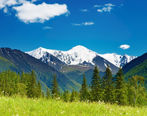 Obraz premium Mountain landscape
