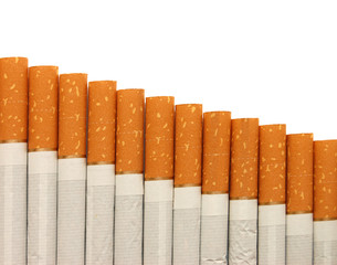 row of cigarettes on white background