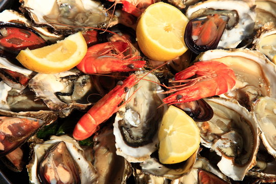 Austern, Miesmuscheln, Meeresfr&uuml;chte, frisch, Zitrone