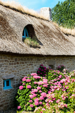 Chaumi&egrave;re bretonne