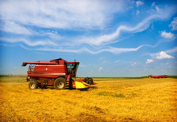 Obraz premium Combine working on a wheat field