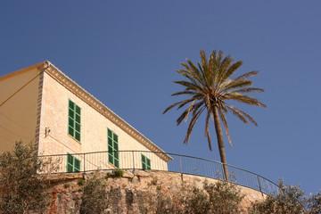 Fototapeta na wymiar mediterian house with palm