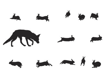 fox and rabbits