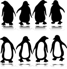 penguin vector silhouettes © draganm