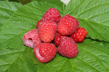 Raspberry