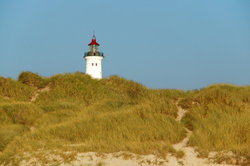 Fototapeta na wymiar Leuchtturm in den Dünen
