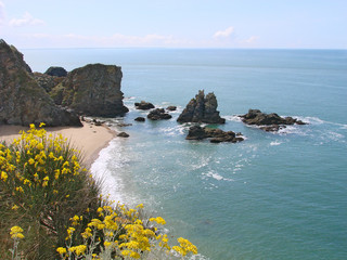 Crique de chemoulin