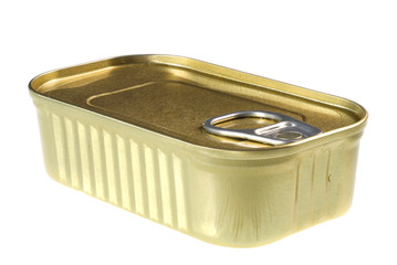 Can of fish