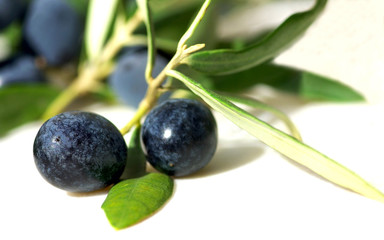 Closeup of mature olives.