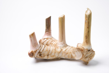 Root of Chinese ginger