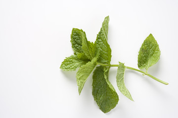Menta leaves