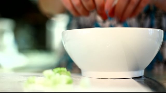 Zwiebeln einf&uuml;llen