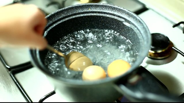 boil egg