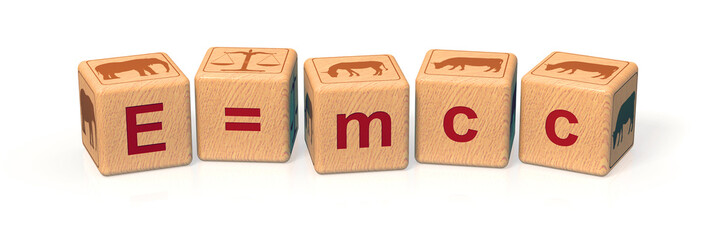 e=mcc