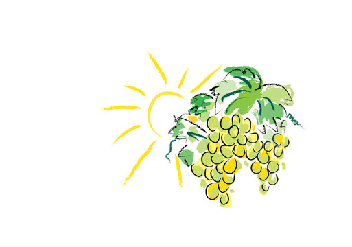 Weintrauben mit Sonne