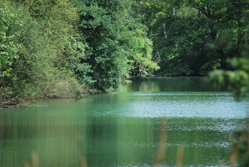 Fluss