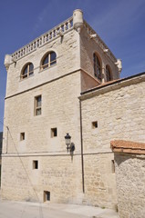 Fototapeta premium torreon