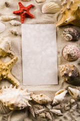 Frame made from shells