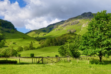 Country fields and hillside