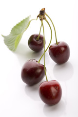 Wild cherries on the white background