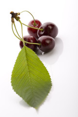 Wild cherries on the white background