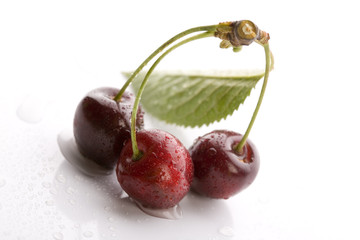 The Wild Cherry or Sweet Cherry on the white background