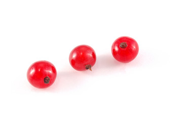 red currant