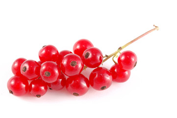 red currant