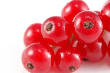 red currant