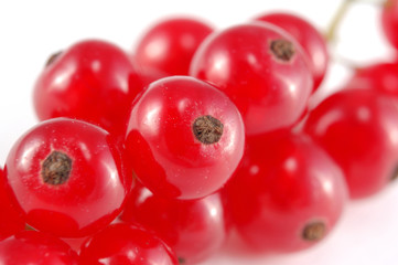 red currant