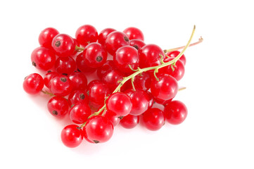 red currant