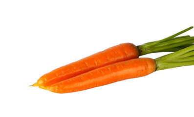 Two Fresh Carrots
