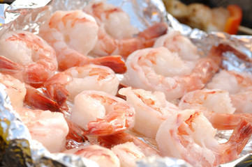 Shrimps