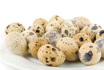 Obraz premium delicatessen quail eggs
