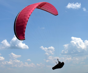paraglider