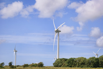 Wind power generators in the field against blue sky