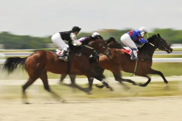 Gordijnen Slow shutter, racing jockeys and horses © Viktoria Makarova
