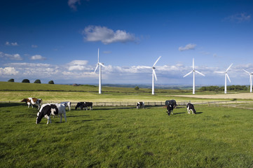Wind Farm Yorkshire