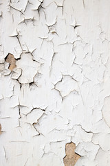 Old flaky white paint peeling off a wall.