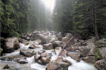 Tatra stream  - Tatrzański potok