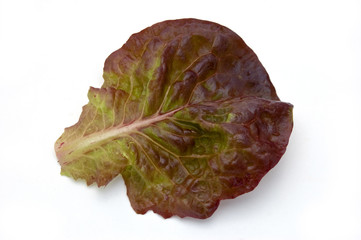 Red leaf lettuce