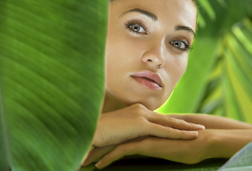 tropic spa