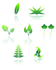 Fototapeta na wymiar Set of leaves icons