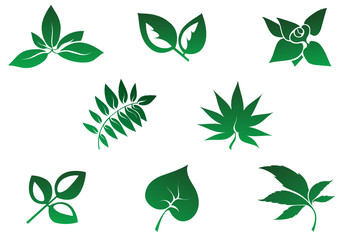 Set of leaves icons isolated on white