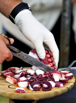 pulpo