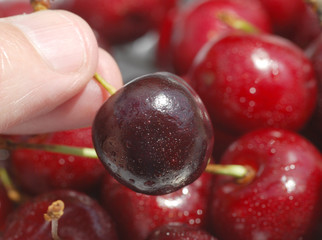 Ripe cherry