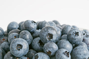 Blaubeeren - Heidelbeeren