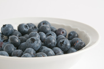 Blaubeeren - Heidelbeeren