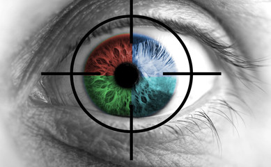 eye